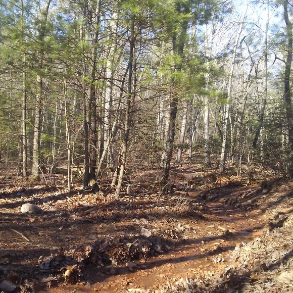 🧚🏽♀️Fairy Stones/Staurolite single specimen - Picture 9 of 11